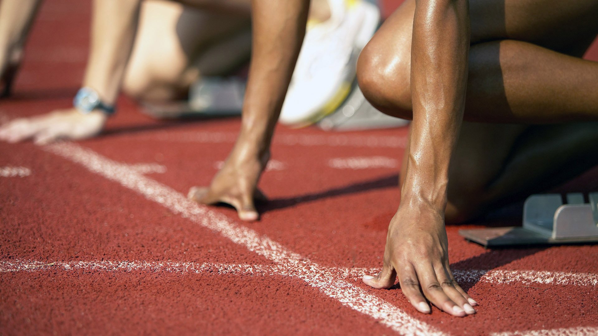 体育新闻中心记者实地探访，体育新闻专题报道